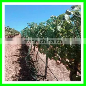 Anti Bird Net for Shrimp Pond Cover/bird Mist Netting thumbnail-4