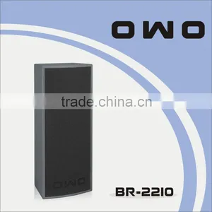 BR Series PA Loudspeaker BR-2210 thumbnail-1