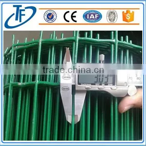Holland Wire Mesh Fence/holland Electric Welded Wire Mesh thumbnail-3