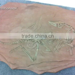 Hot Sale Fiberglass Life Size Dinosaur Skull thumbnail-5