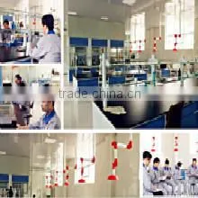 Shandong Square Sea International Trade Co., Ltd. company overview - view 4 thumbnail