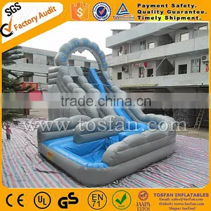 Giant Infaltable Water Slide for Amusement Park A4026 thumbnail-6