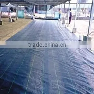 Landscape Fabric,Weed Barrier in Low Price of High Quality thumbnail-4