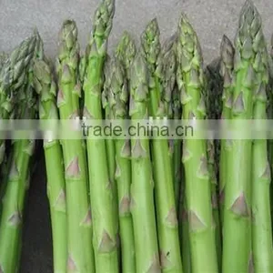 Canned Green Asparagus Tips and Cuts/Canned Food/Canned Vegetables thumbnail-2
