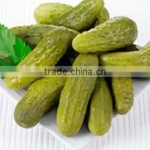 Viet Nam Pickled Cucumber in Jar thumbnail-3