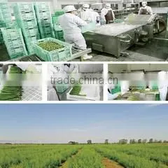 Gansu Huangyanghe Group Food Co., Ltd. company overview - view 2 thumbnail