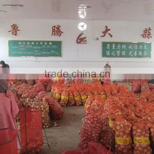 Fresh Onion Packing in Mesh Bag for Onion Importer From Dubai thumbnail-6
