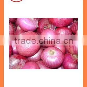 Fresh Red Onion FOR SALE thumbnail-5
