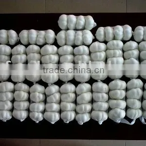 Good Quality Fresh Garlic thumbnail-1