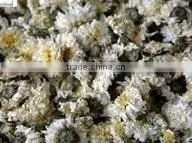 Chrysanthemum Microwave Dryer and Sterilizer--industrial Microwave Equipment thumbnail-1
