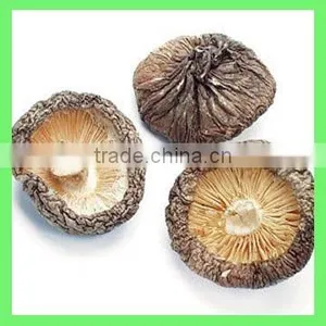 Grade A Dry Shiitake Mushrooms thumbnail-3
