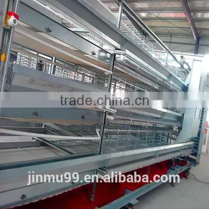 Poultry Breeder Eggs thumbnail-1