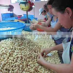 Dried Raw Cashew Nut From Vietnam thumbnail-4