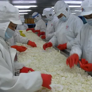 Guangxi Jiabao Foods Co.,Ltd company overview - view 1 thumbnail
