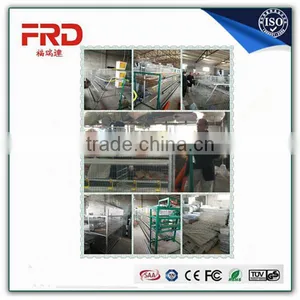 Factory Supply Good Quality Galvanized Welded Wire Chicken Cage Battery With Long Time Working Time thumbnail-6