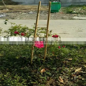 FD - 151117Garden Seedlings Support Bar thumbnail-2
