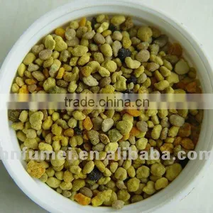 High Quality Bee Pollen Granules thumbnail-4