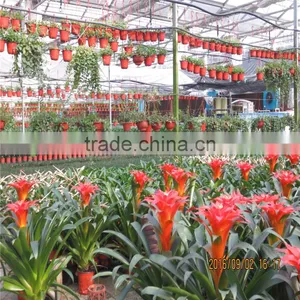 Green House For Agriculture Ventilation thumbnail-6