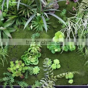 Grass Wall Manufacturer Packing System Modular Green Wall thumbnail-1