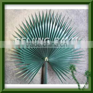 Plastic Palm Leaf,washingtonia Palm Leaf Frond, Artificial Palm Frond thumbnail-1