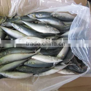 Seafood (mackerel Frozen 100-200G) thumbnail-1