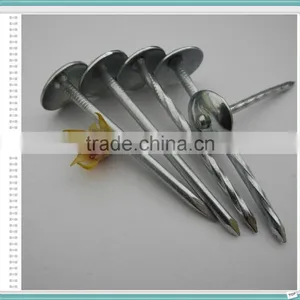 Umbrella Head Roofing Nail of 50kg Gunny Bag thumbnail-6