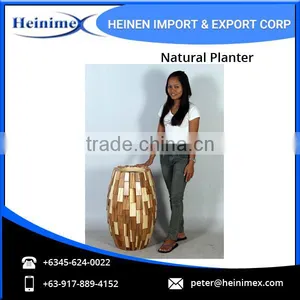 Widely Selling, Fiberglass Made Flower Planters for Home Decore thumbnail-2