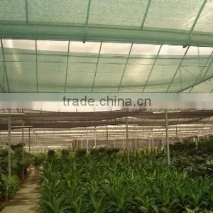 Hot Sale HDPE UV Resistant Raffia Woven Shade Net With High Quality thumbnail-2