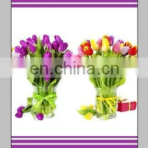 C-001 Digital Printed Curtain thumbnail-1