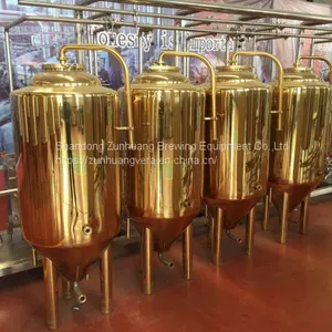 300L/ 2BBL Titanium Plating Stainless Steel Beer Fermentation Tank Beer Fermenter thumbnail-5