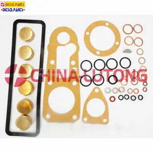 Diesel Pump Repair Kits-cummins Rebuild Kit 1 417 010 003 for ISUZU Ve Pump thumbnail-4