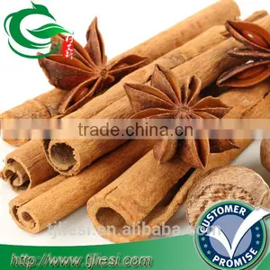 Supply Cinnamon Bark for Pungent Spice thumbnail-1