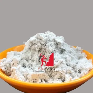 Sepiolite Powder Non-metallic Minerals For Sale The Silicate Wholesale thumbnail-2