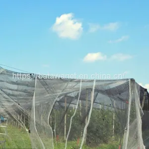 Hdpe Agricultural Plastic Mesh Fruit and Vegetable Insect Net Vegetable Farm Insect thumbnail-3