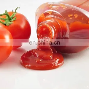 Turnkey Production Plant of Sauce and Ketchup and Tomato Paste Processing Line thumbnail-1