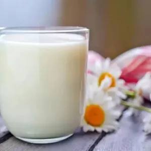 Milk Factory Soymilk Machine Mini Soymilk Production Line thumbnail-4