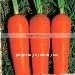 Chinese Fresh Carrot thumbnail-1