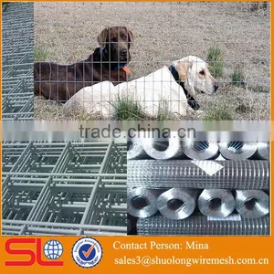 Golden Supplier 1/4 Inch Galvanized Welded Wire Mesh Cheap thumbnail-4