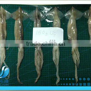 Frozen Whole Illex Squid thumbnail-4