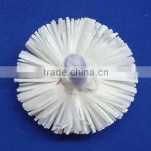 Sola Flower thumbnail-6