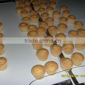 Fancy Cake Production Line thumbnail-1