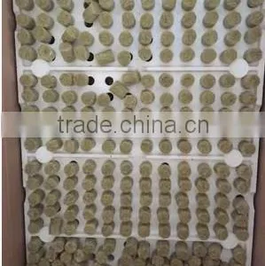 Seedling Rockwool Hydroponic System thumbnail-1