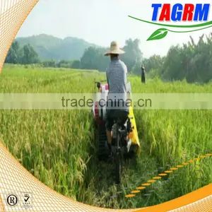 4L-0.7F Rice Combine Harvester/ Grain Harvester /rice Cutting Machine thumbnail-3
