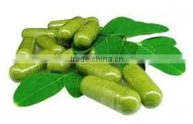 PKM1 Moringa Seed - India Origin thumbnail-4