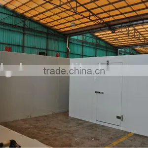 Insulation Cold Room Sliding Door thumbnail-4