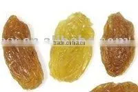 Fresh Golden Dried Grape thumbnail-1