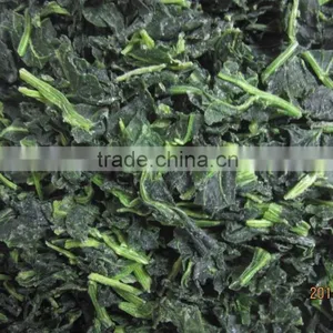 IQF Chopped Spinach Cuts thumbnail-3