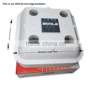 Xch-42 China Make 42 Eggs Incubator for Sale thumbnail-1