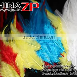 Leading Supplier CHINAZP Bulk Sale Good Quality Cheap Dyed Mix Colors Chicken Rooster Saddle Feathers thumbnail-4