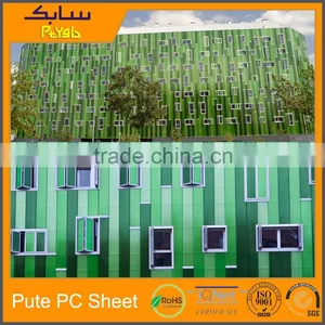 Polycarbonate Construction Material Sun Shield Plastic Green Sun Visor thumbnail-4